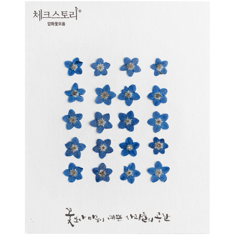 체크스토리 압화 누름꽃 꽃송이 물망초 압화재료 조화 블루B 20개 자연 - 상품 이미지