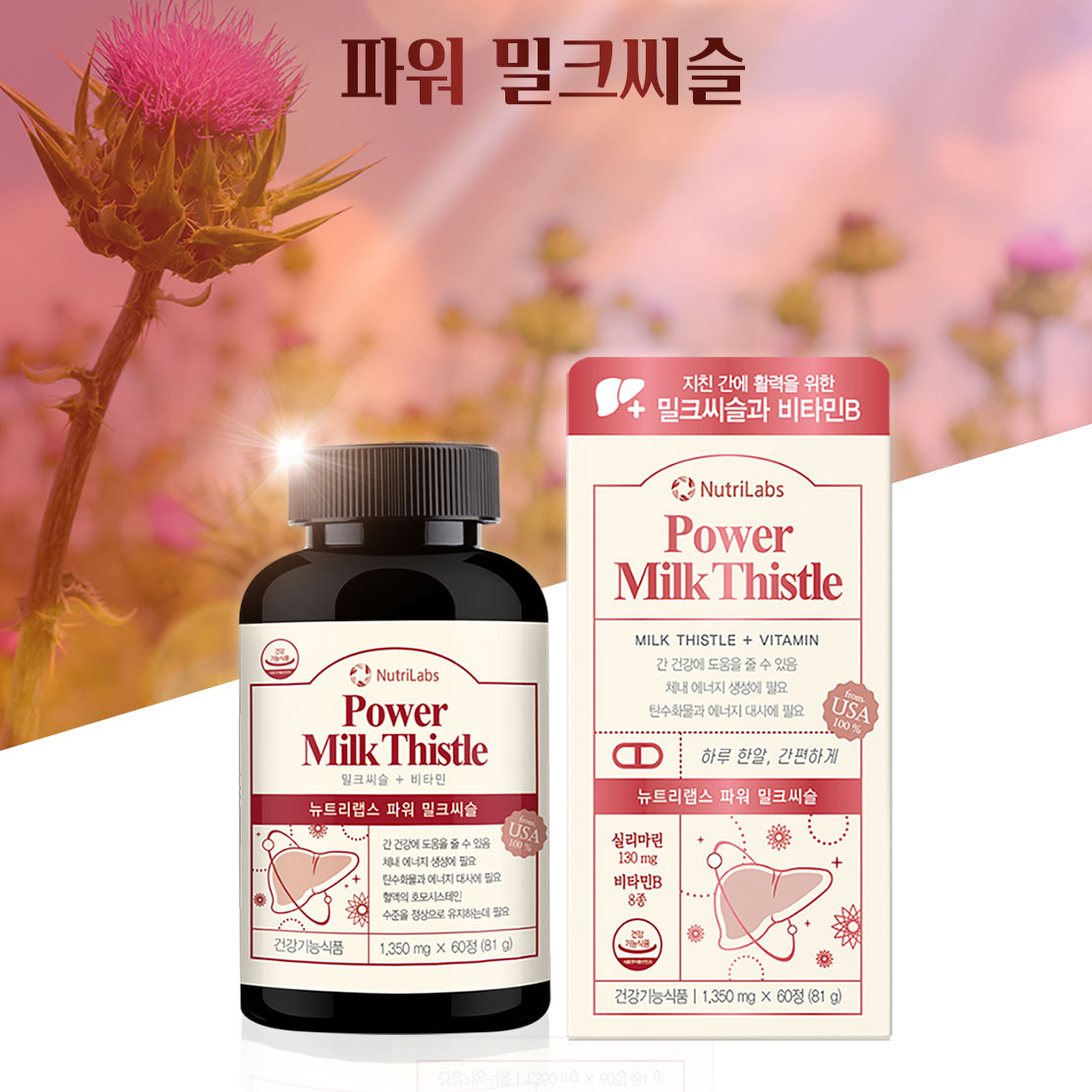 밀크씨슬 비타민B군 8종 밀크씨슬추출물 400mg 실리마린 2개월분 - 상세 이미지 2