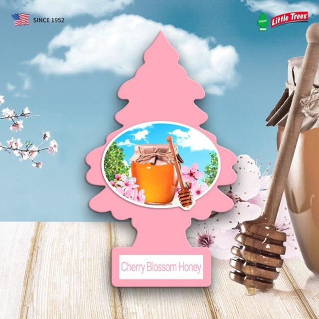 리틀트리 방향제 차량용 체리블라썸 허니 LITTLE TREE 걸이형 종이 : 워시마트