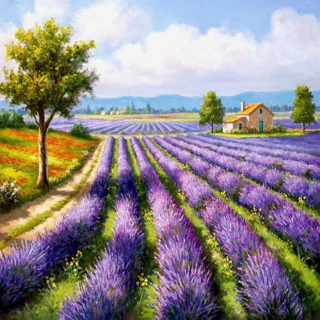 피포페인팅 HS19292 라벤더향기속으로 40x50 DIY명화그리기 유화수채화그리기