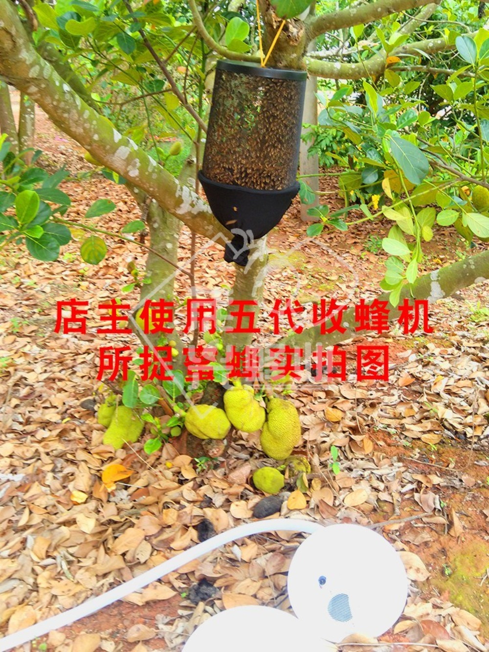 꿀벌잡는기계 진공 흡입 펌프 양봉 채집 - 상세 이미지 5