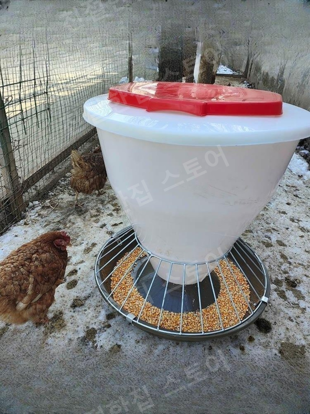 닭먹이통 사료 모이통 닭장 조류 급여기 모이 - 상품 이미지
