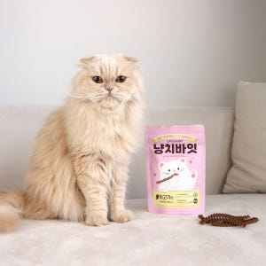 캣츠모리 냥치바잇 고양이껌 양치껌 덴탈껌 치석제거 간식 닭고기, 60g,... 솔직 후기 | 실제 사용자 리뷰 총정리 - 상품 이미지 4