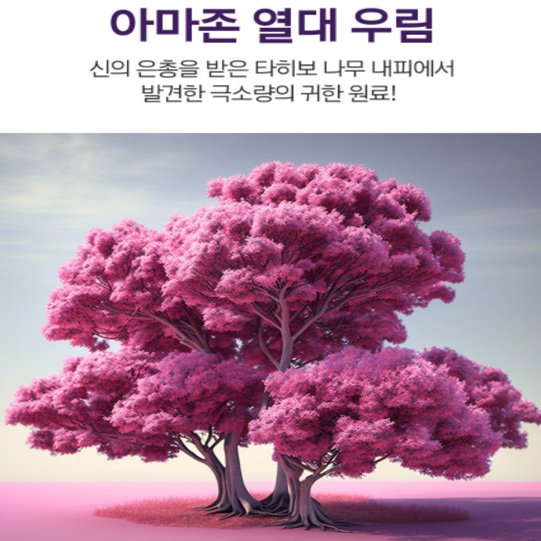 브라질 타히보 추출물 타이보 - 상세 이미지 5