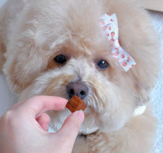 펫러닝 강아지보양식 강아지치킨 반려견 노견 특식 음식 간식 오븐구이 닭고기 40g 이미지 2