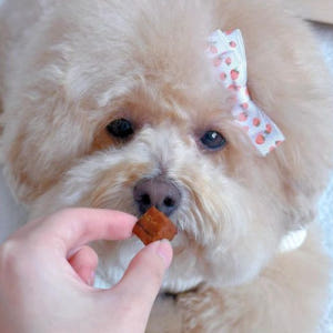 펫러닝 강아지보양식 강아지치킨 반려견 노견 특식 음식 간식 오븐구이 닭고... 솔직 후기 | 실제 사용자 리뷰 총정리 - 상품 이미지 2