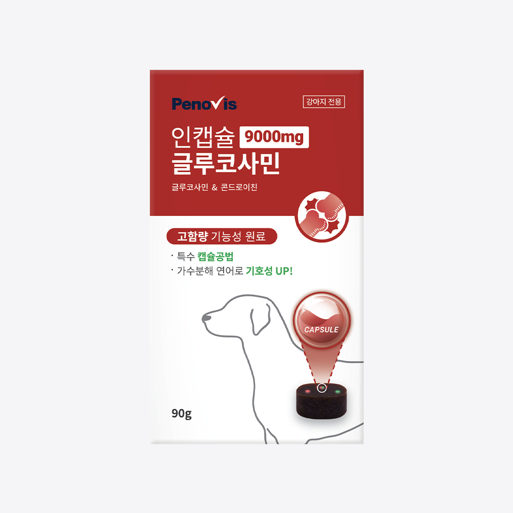 강아지 관절영양제 페노비스 슬개골 관절강화 관절염 동물병원전용 인캡슐 글루코사민