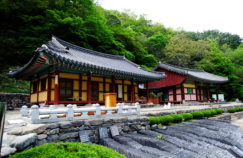부산 울산 동대구 출발 담양 죽녹원 강천산 출렁다리 당일치기 여행 국내 기차 패키지 이미지 6