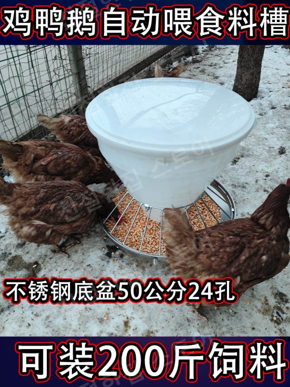 닭먹이통 사료 모이통 닭장 조류 급여기 모이 - 상세 이미지 2