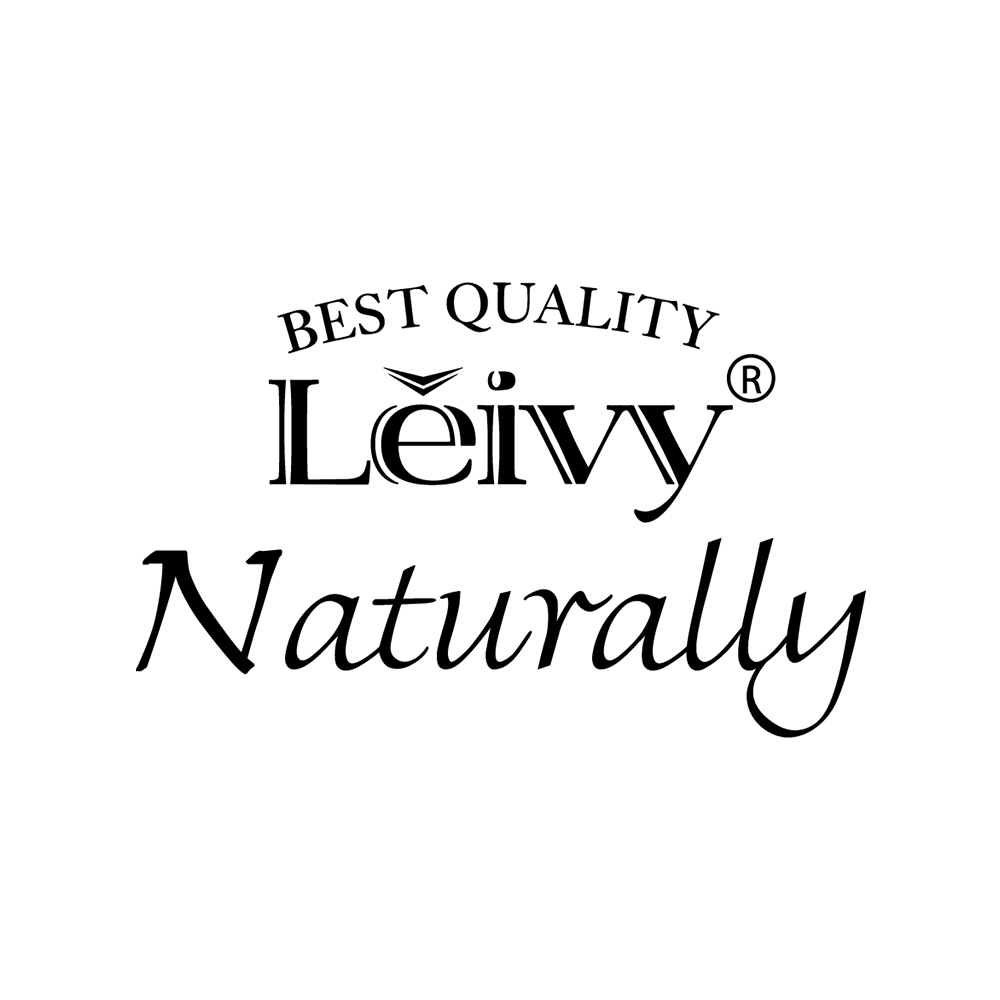 레이비 LEIVY 스토어 로고