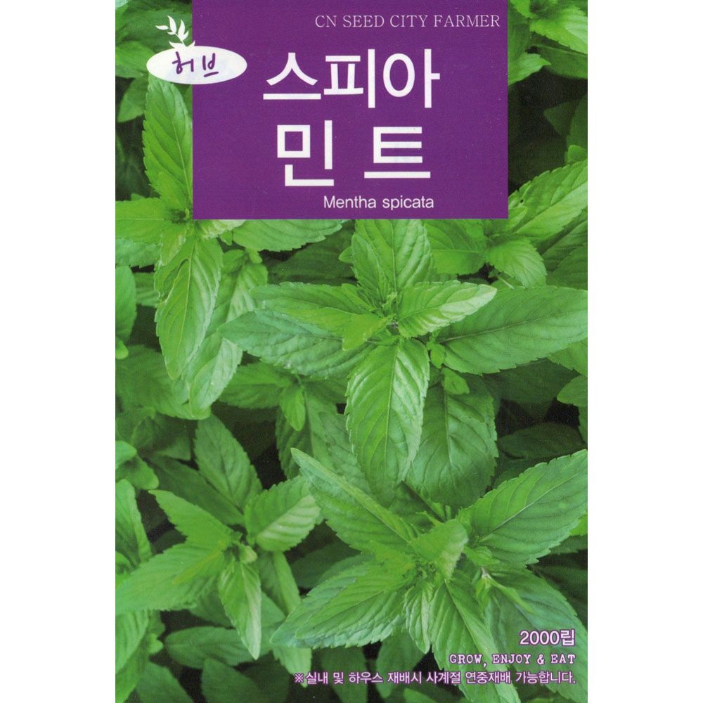 2024 씨앗 허브 스피아민트 : 트루 스토리