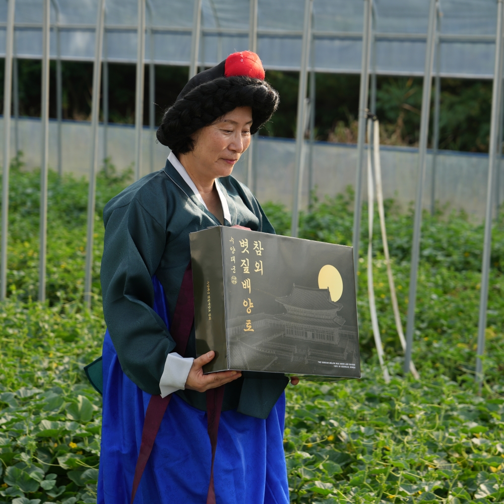 토댁 성주참외 5kg 꼬마참외 프리미엄 못난이 맛있게 먹은 솔직 후기 - 대표 이미지