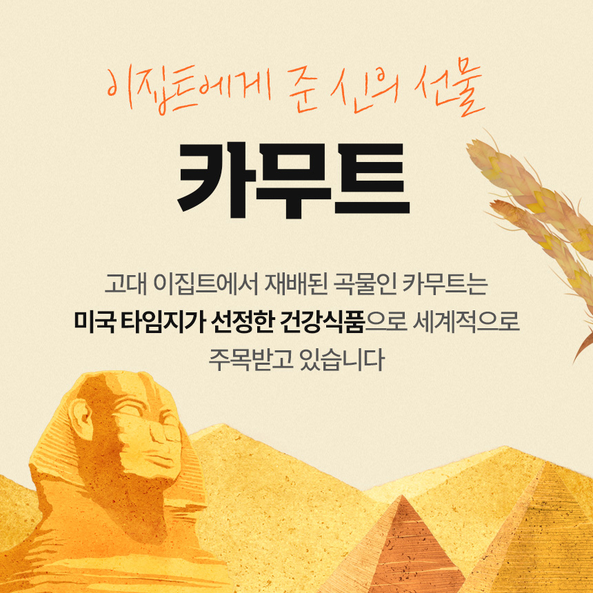 카무트 효소 브랜드밀 호라산밀 황국균 역가수치높은 탄수화물 단백질 분해효소 30포 - 상세 이미지 5