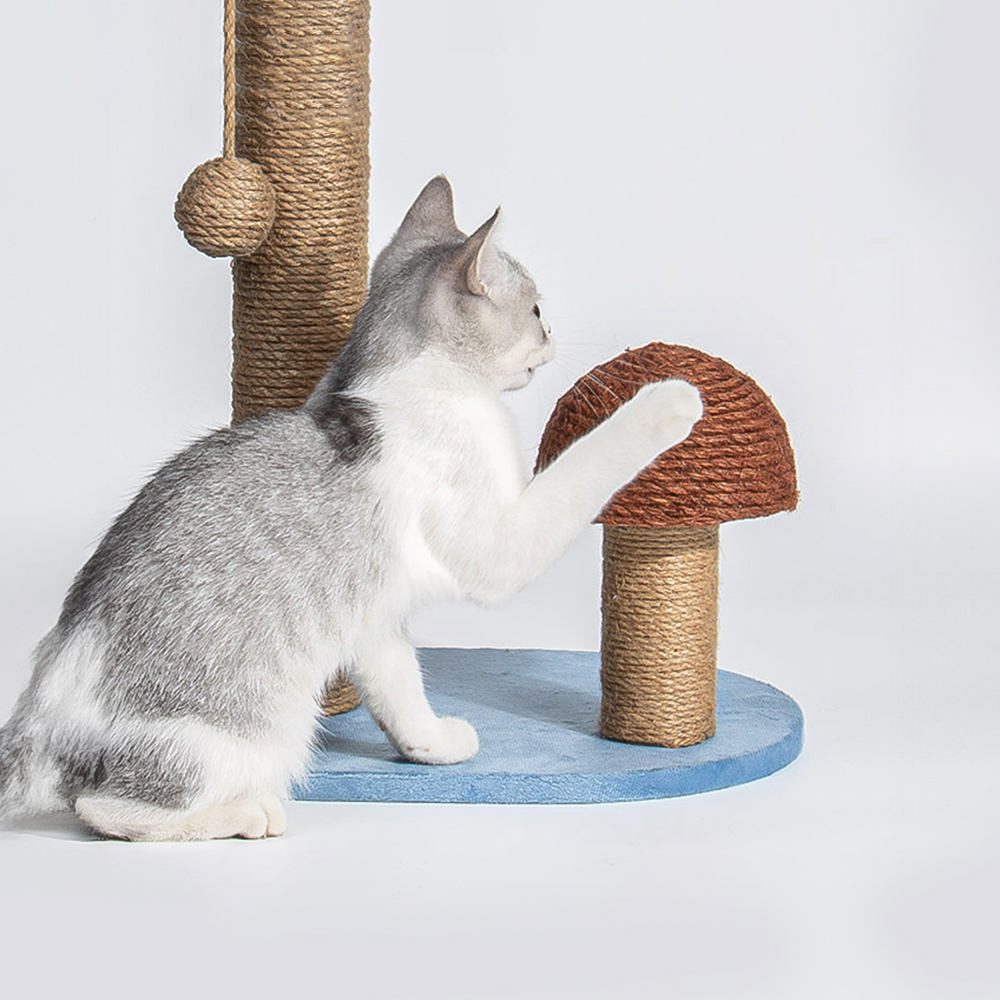 뽈뽈 팜트리 고양이 수직 스크래쳐 야자수 캣타워 73cm