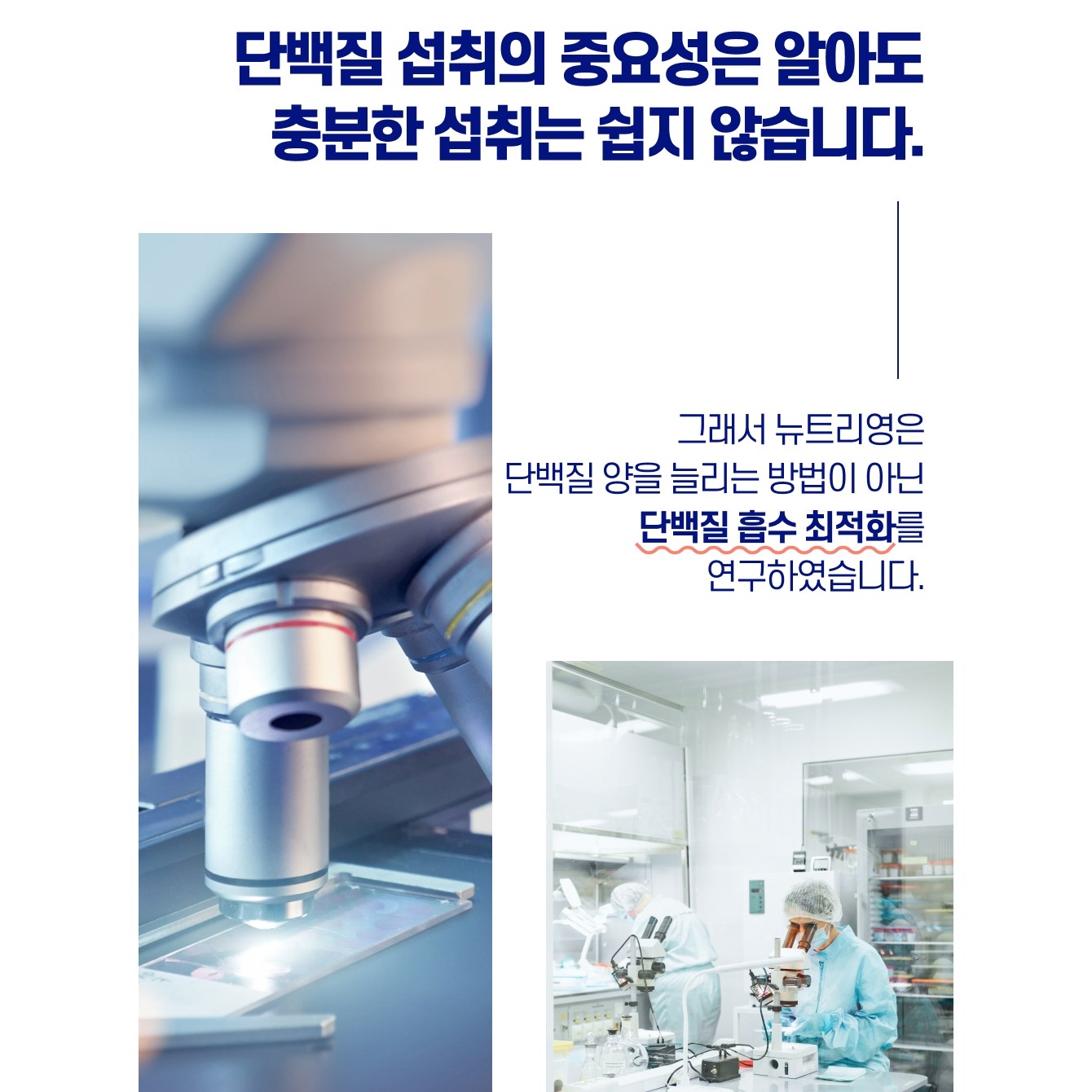 류신 단백질 타블렛 루신 노인 단백질보충제 뉴신 2개월 60캡슐, 7개 이미지 7