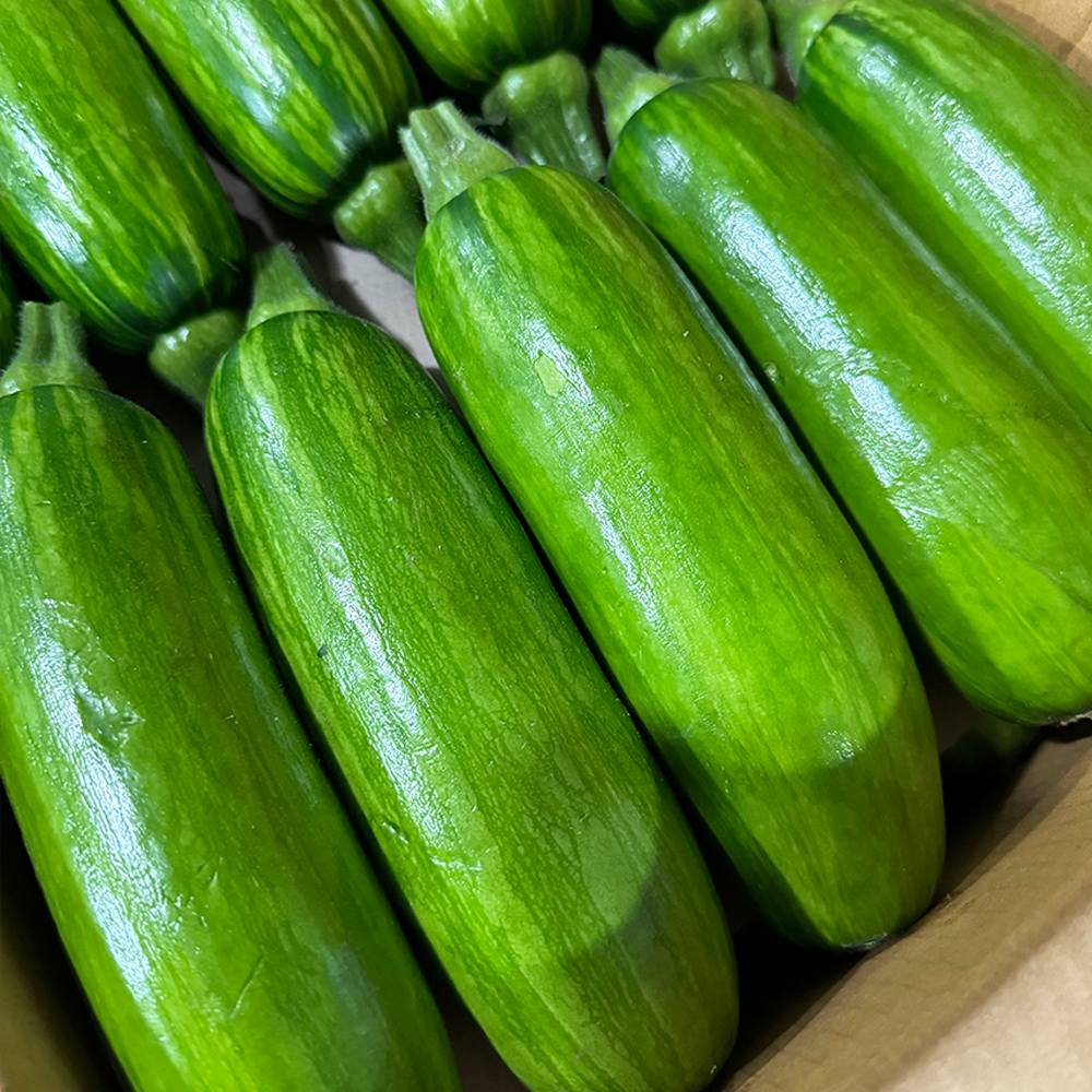 프리미엄 국내산 애호박 일반 인큐 가정용 맛있는 둥근 조선 호박 하우스 노지 - 상세 이미지 3