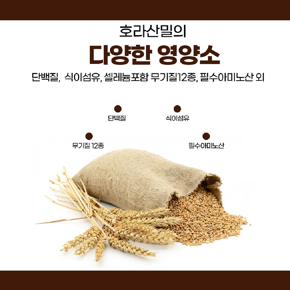 호라산 밀 곡물 발효 효소 정 식약처 HACCP 인증 90정 이미지 7