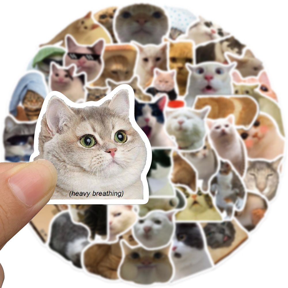 귀여운 고양이 스티커 50장 밈 동물 폰꾸 다꾸 핸드폰 노트북 다이어리 리무버블 스티커 이미지 7