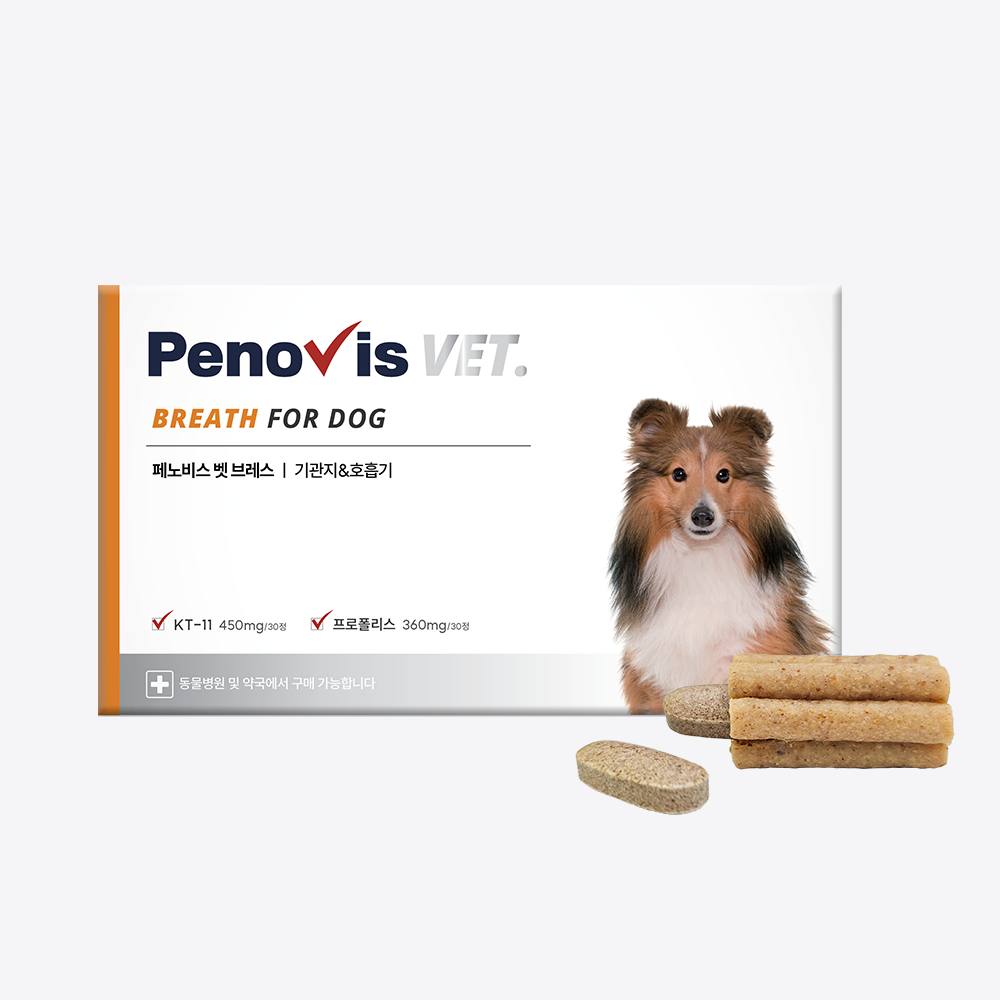 페노비스 강아지 기관지 영양제 기침 면역 호흡기 협착증 켁켁거림 30캡슐, 1개 - 상품 이미지