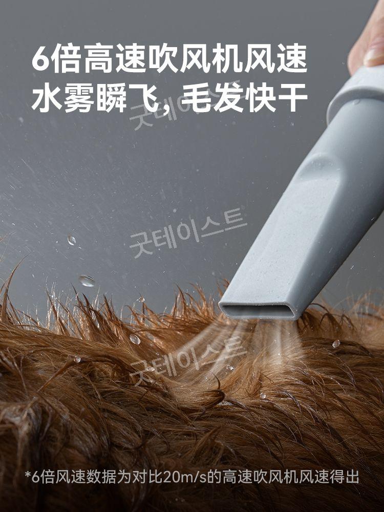 애완 동물 송풍기 애견 고양이 드라이기 펫 건조기 드라이어 털말리기 - 상세 이미지 2