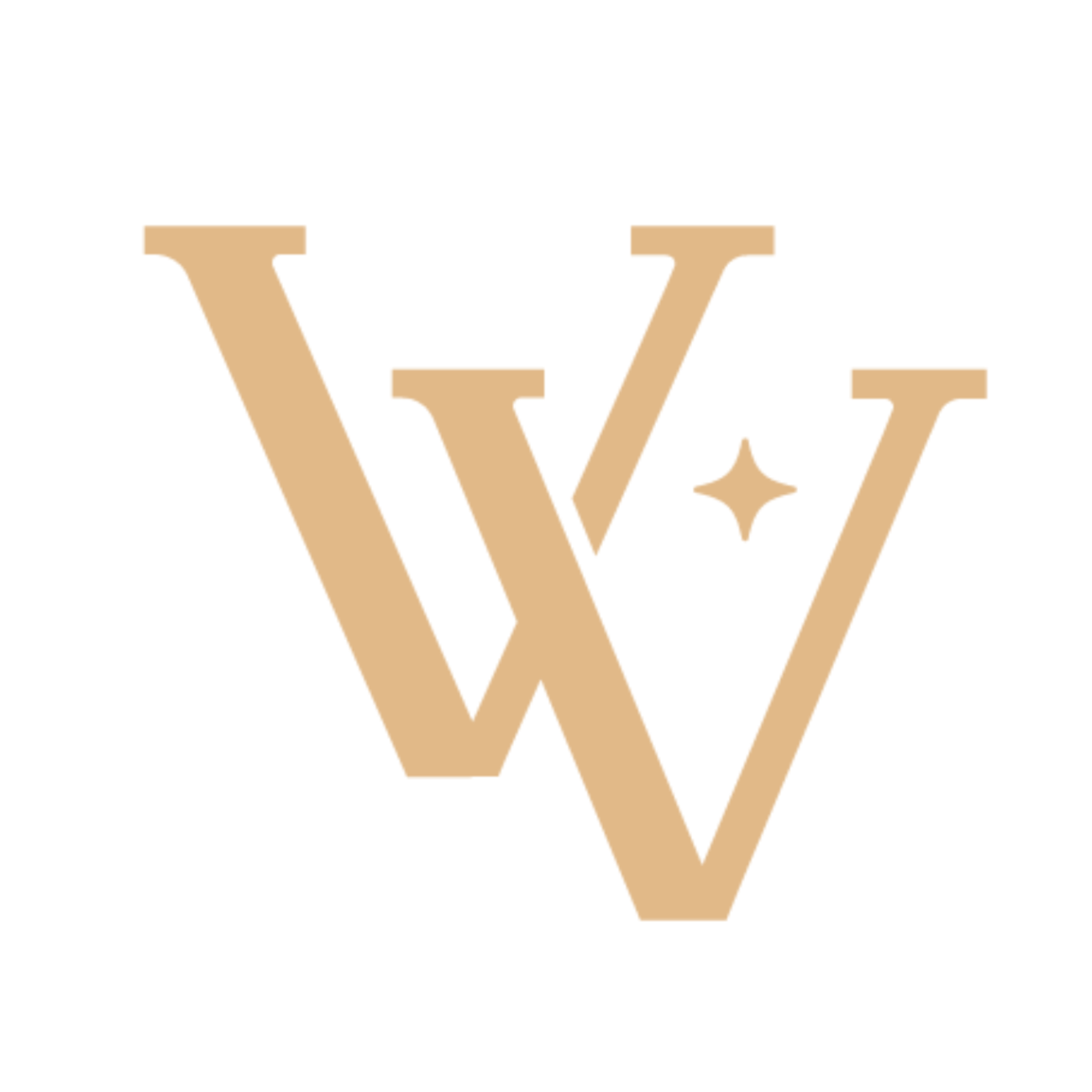 프리미엄캐리어 스토어 로고