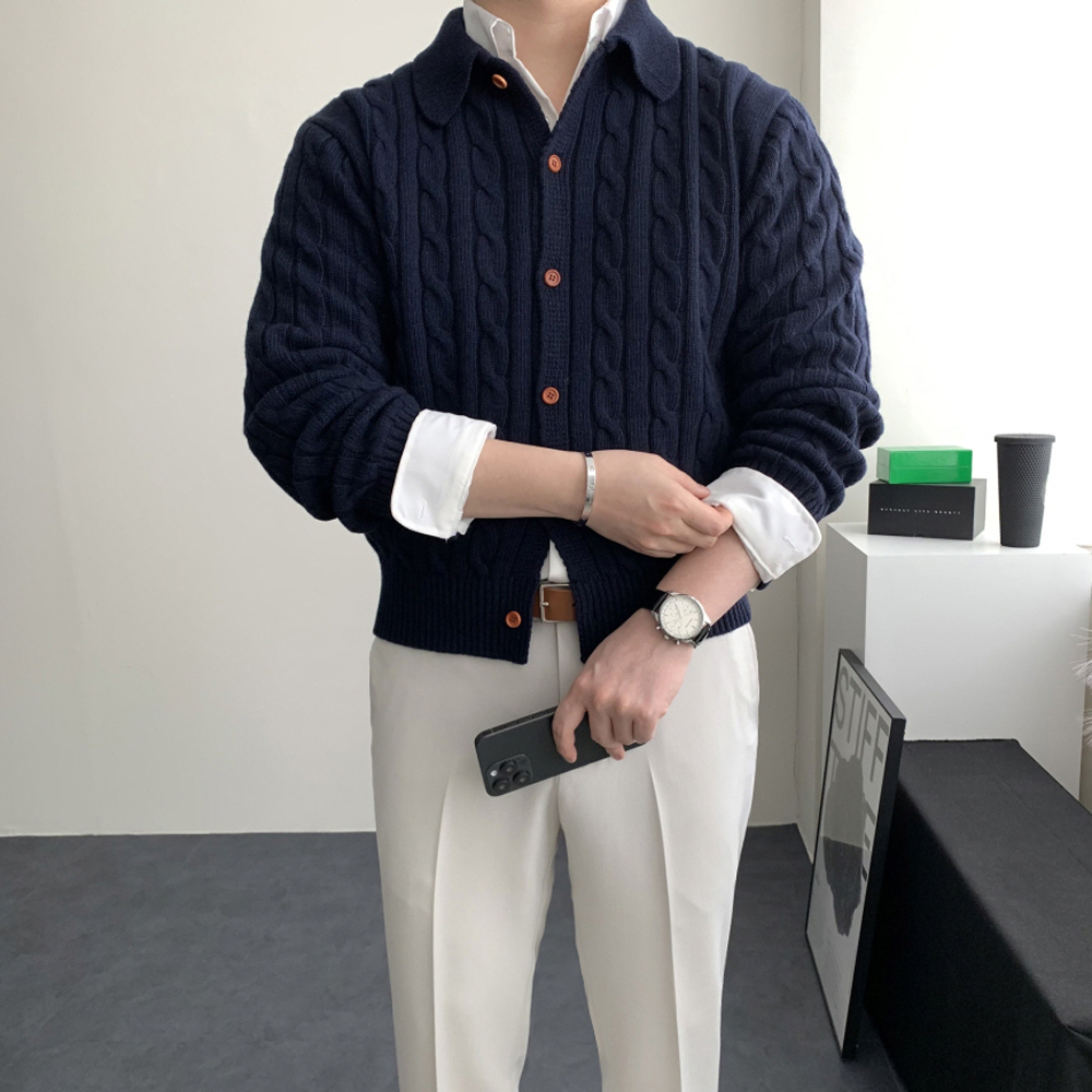 남자꽈배기가디건 남자봄가디건 - 메인 이미지