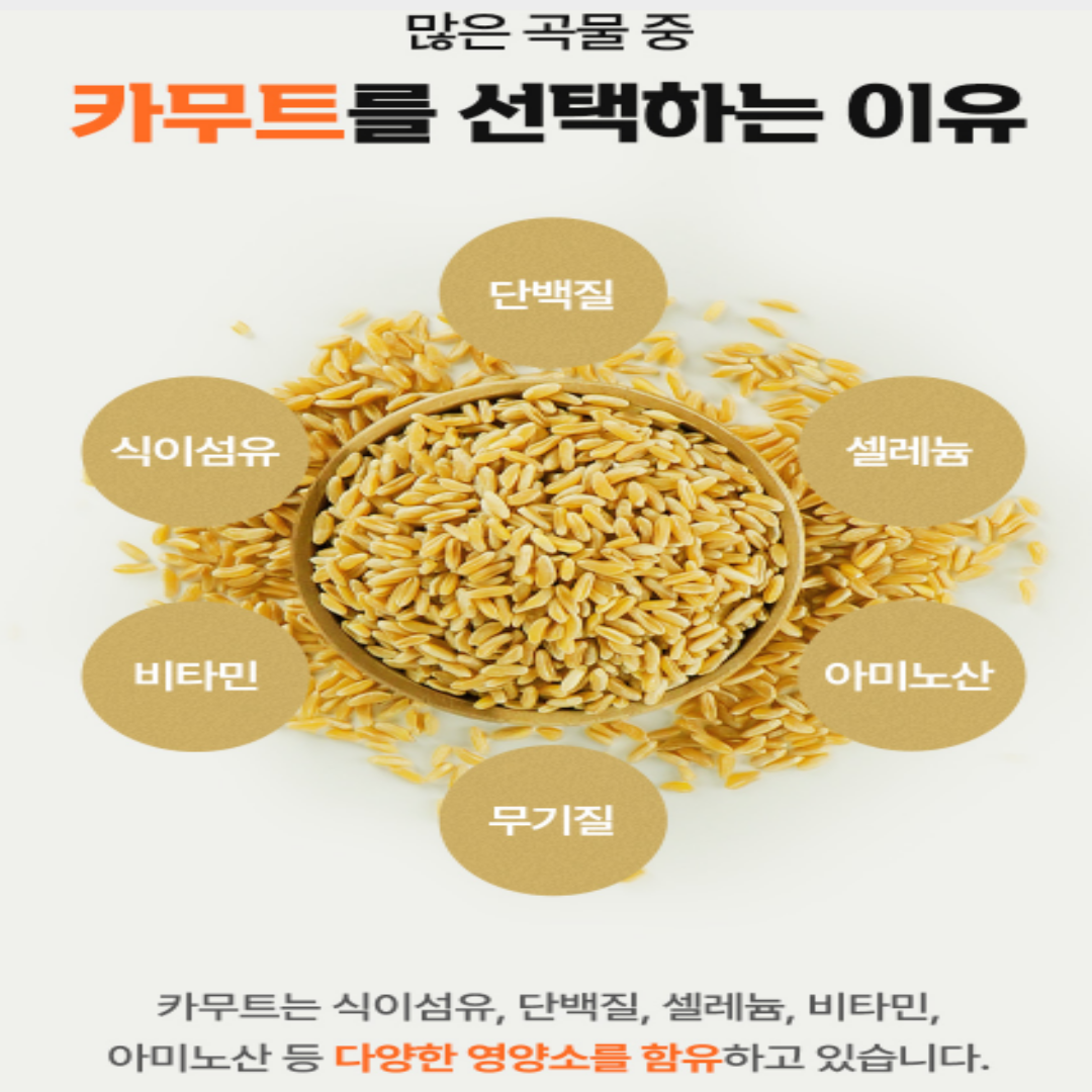 카무트 효소 쌀 호라산밀 발효효소 가루 - 상세 이미지 5