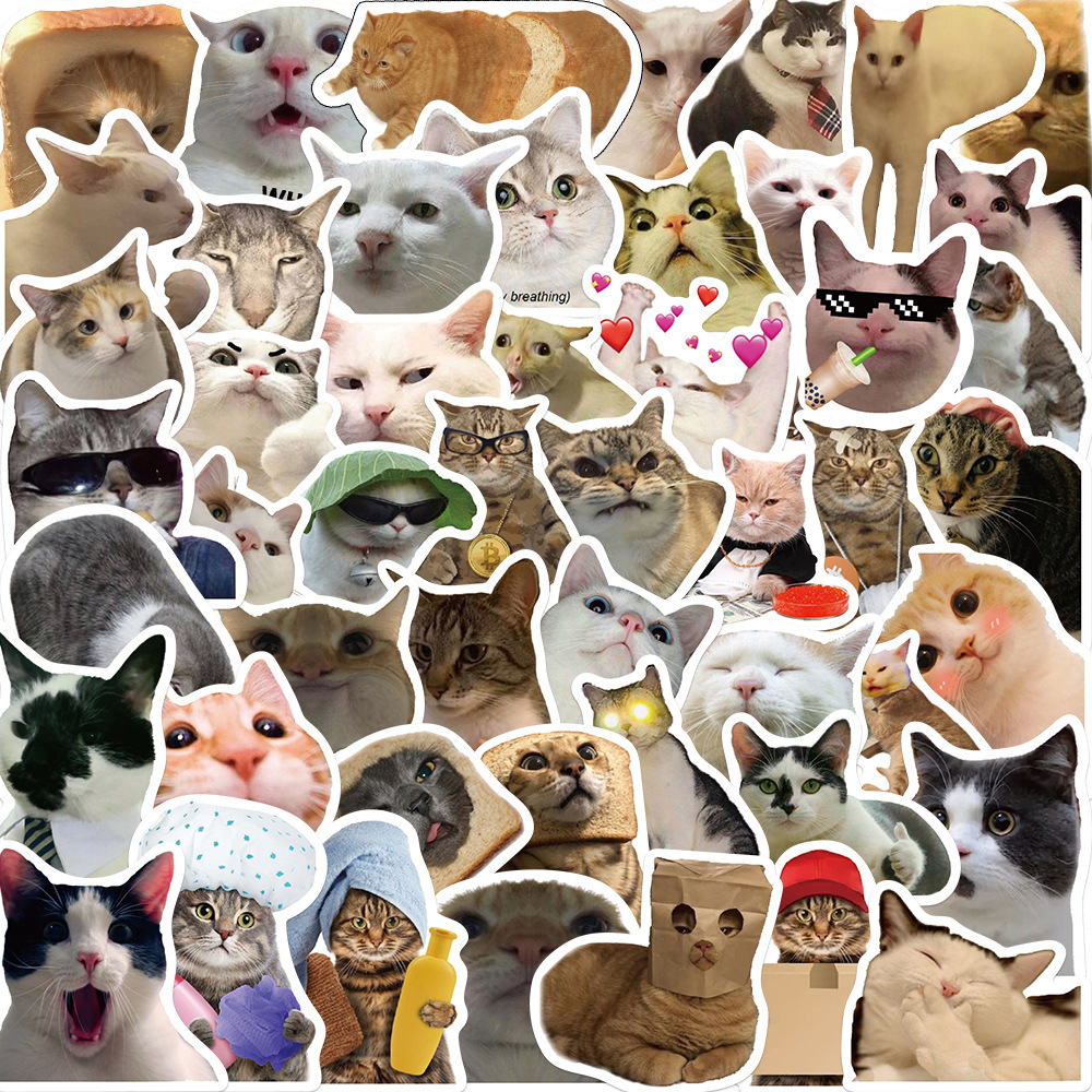 귀여운 고양이 스티커 50장 밈 동물 폰꾸 다꾸 핸드폰 노트북 다이어리 리무버블 스티커 이미지 6