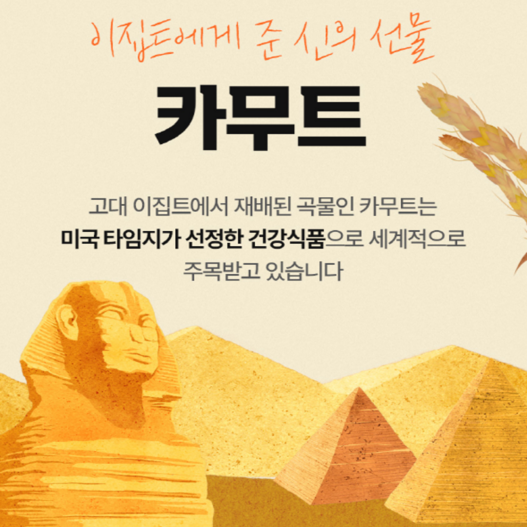 카무트 효소 쌀 호라산밀 발효효소 가루 - 상세 이미지 4