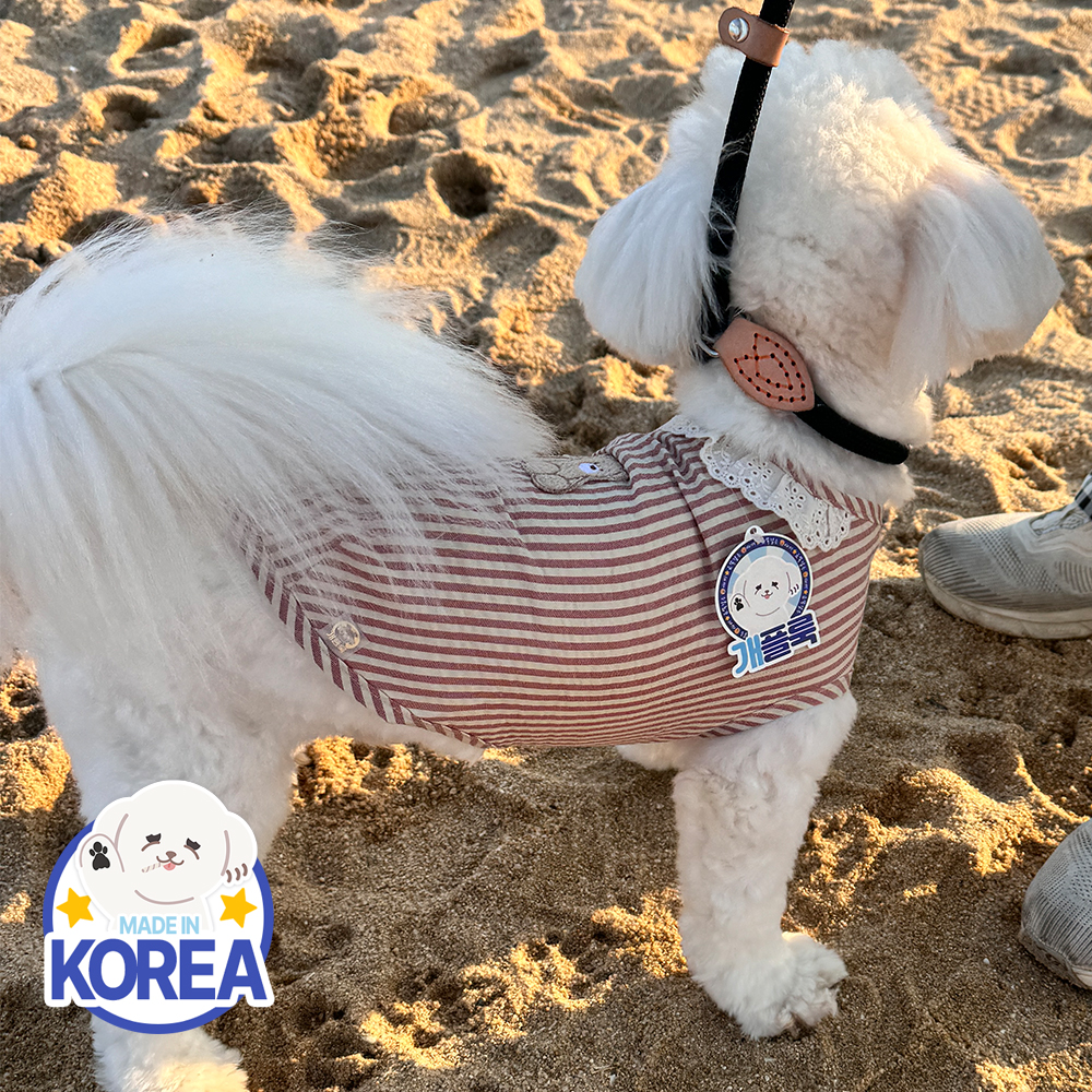 국산 강아지잠옷 강아지실내복 애견옷 소형견 중형견 곰돌이 잠옷 D스티치독 이미지 7