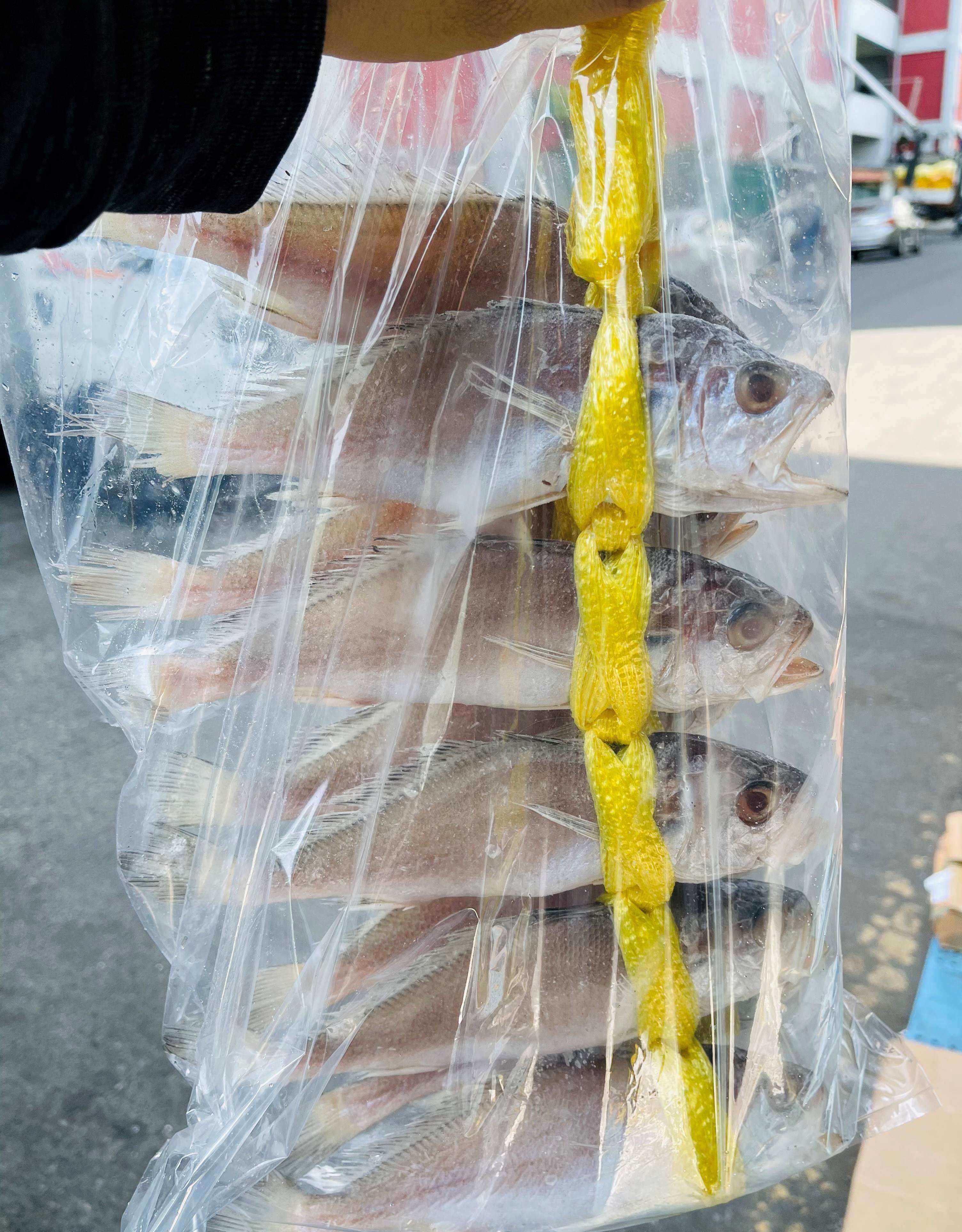 조기 굴비 손질 구이 20미 침조기 23cm 28cm 선물용 비늘제거 - 상세 이미지 3