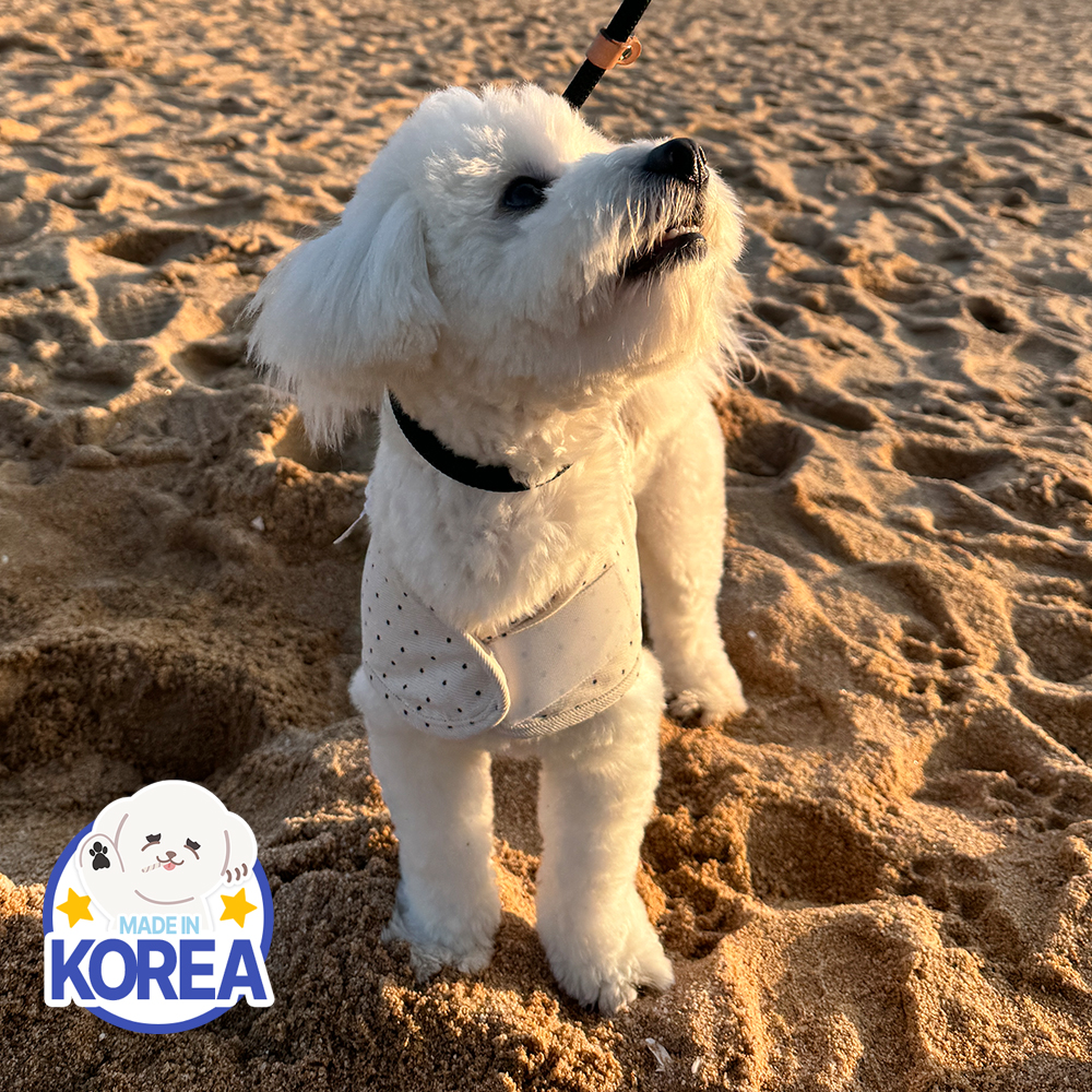 국산 강아지잠옷 강아지실내복 애견옷 중형견 대형견 땡땡이 잠옷 D라라독 이미지 7