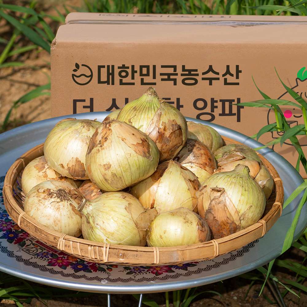국내산 양파 3kg 5kg