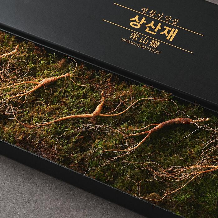 상산재 산양삼 장뇌삼 산양산삼 산삼 10년근 선물세트 - 상세 이미지 2