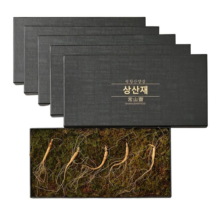 상산재 산양삼 장뇌삼 산양산삼 산삼 5년근 5뿌리 5+1 선물세트 - 상세 이미지 2