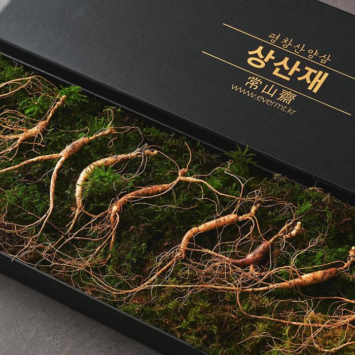상산재 산양삼 장뇌삼 산양산삼 산삼 5년근 5뿌리 선물세트 - 상세 이미지 2