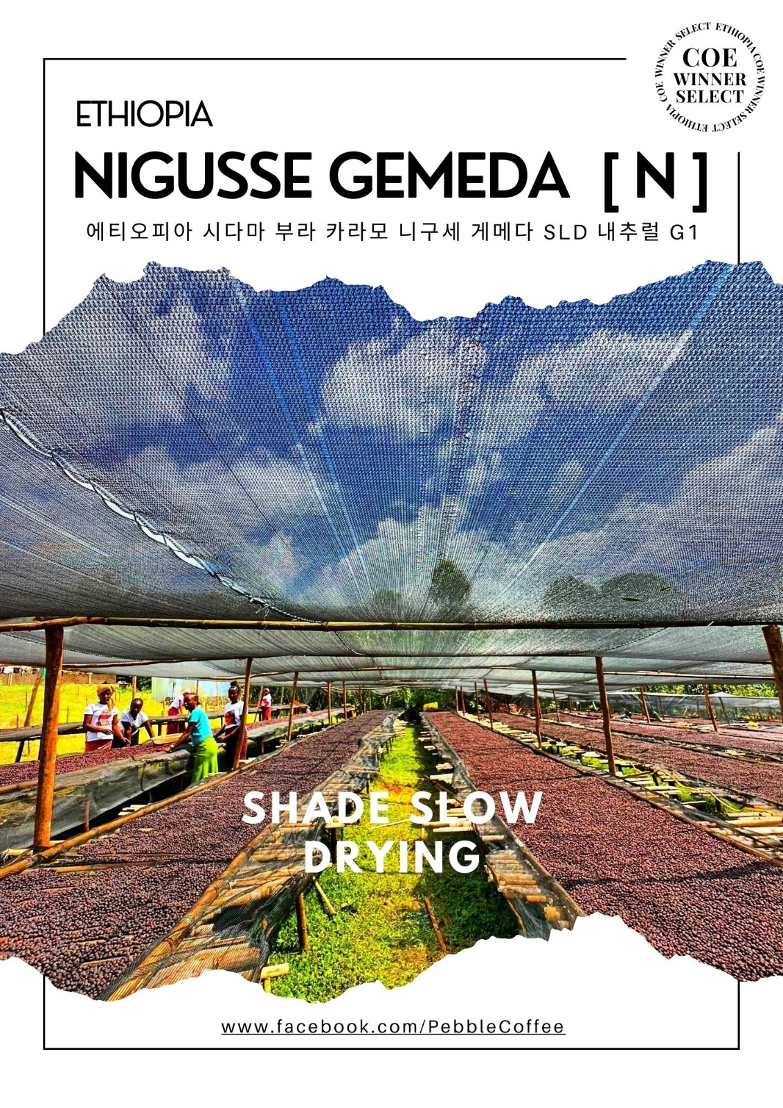 에티오피아 시다마 부라 카라모 니구세 게메다 SLD 내추럴 G1 5KG (BURA KARAMO NIGUSE GEMEDA SLD NATURAL)