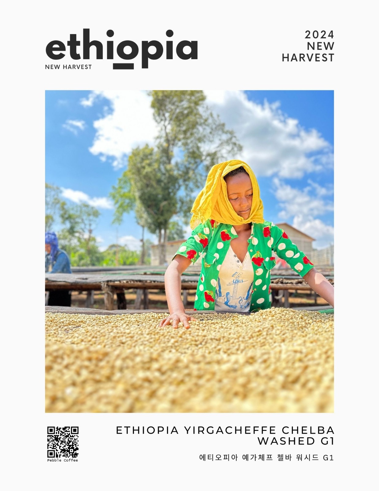 에티오피아 예가체프 첼바 워시드 G1 5KG (ETHIOPIA YIRGACHEFFE CHELBA WASHED G1)