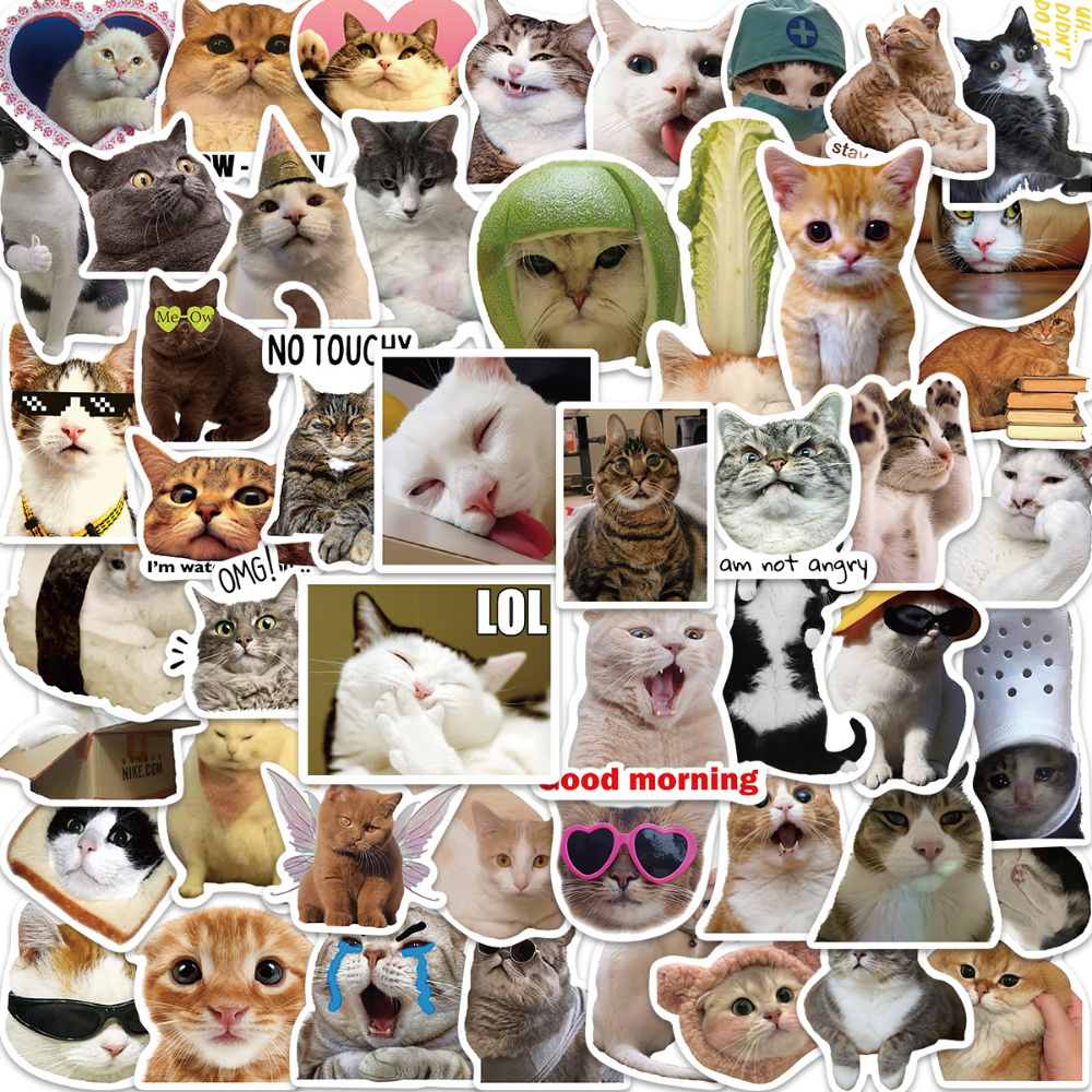 귀여운 고양이 스티커 50장 밈 동물 폰꾸 다꾸 핸드폰 노트북 다이어리 리무버블 스티커 - 상품 이미지