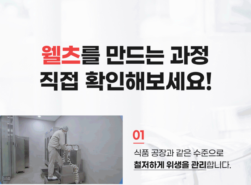웰츠 캣 인도어 6kg 판매처 상세 정보 이미지 2