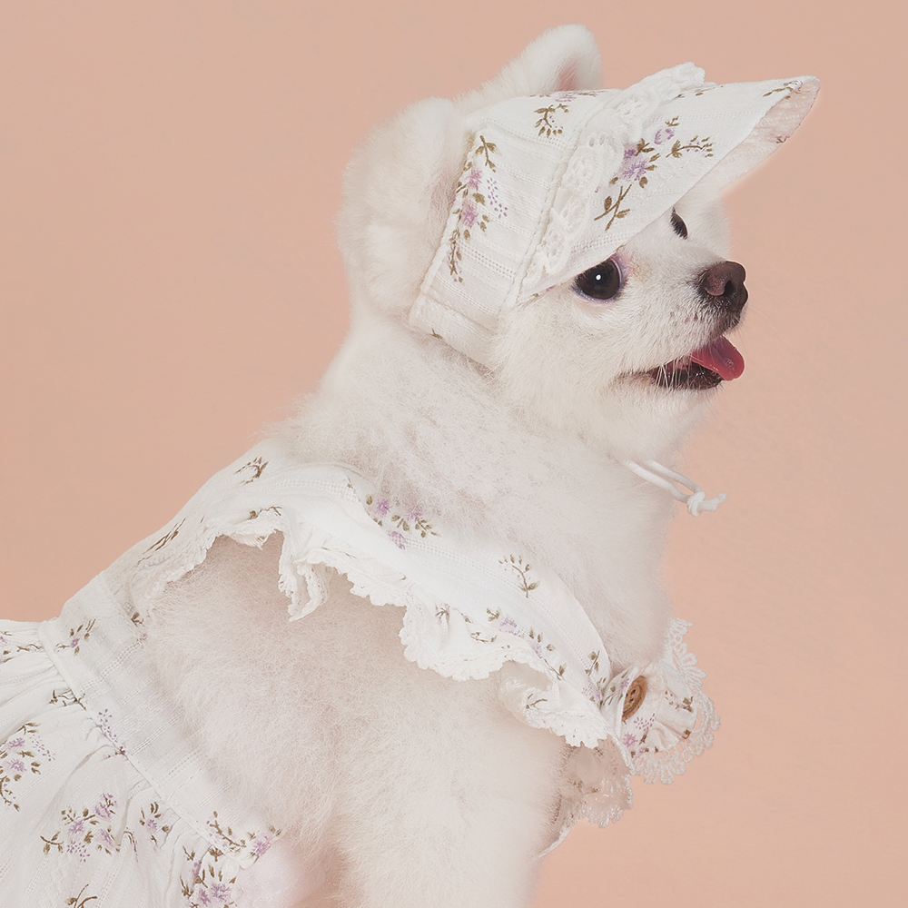 강아지모자 랏셀모자 애견썬캡 반려견산책용 여름 자외선 차단 이미지 2