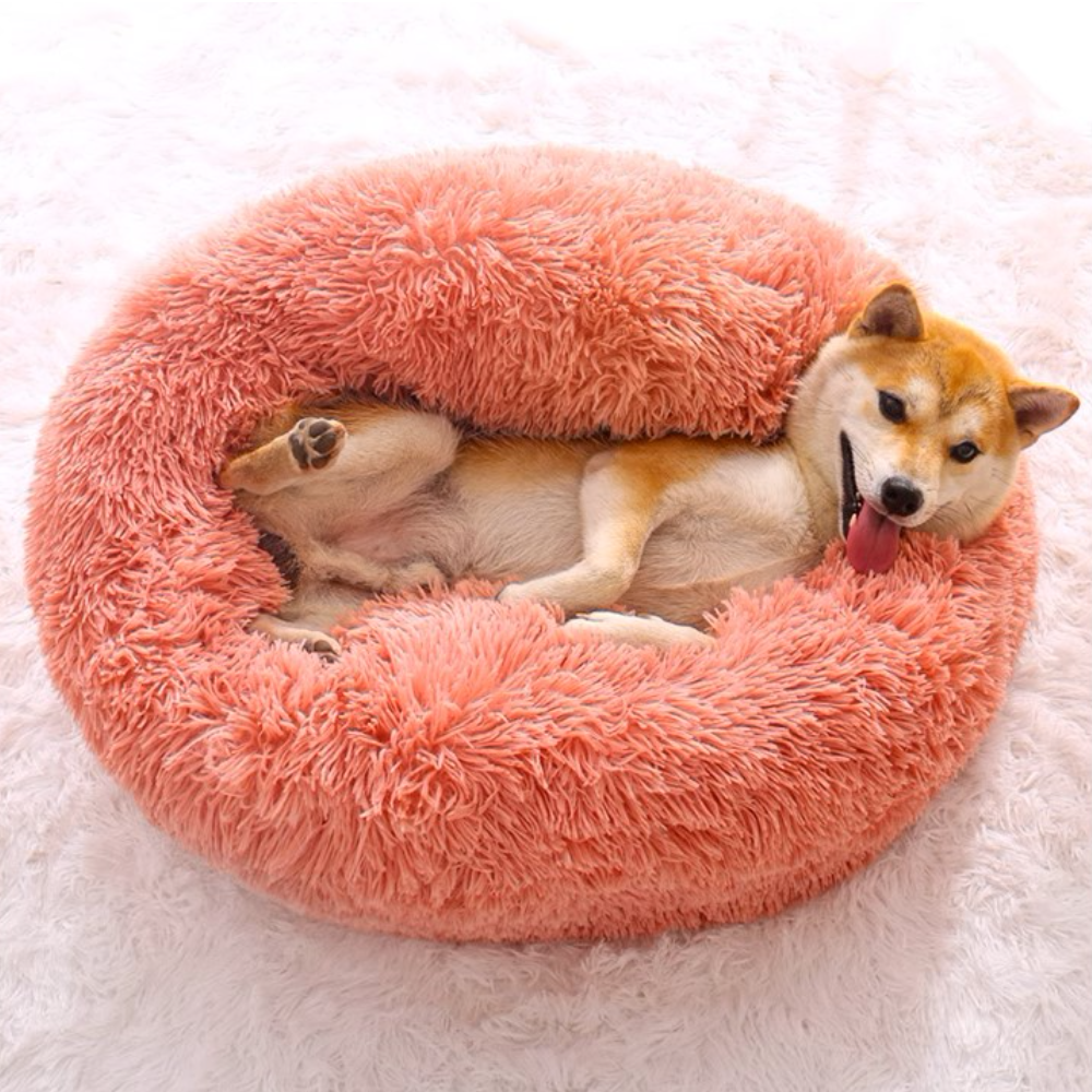 퍼플펫 고양이 침대 쇼파 강아지 침대 해먹 쿠션 S