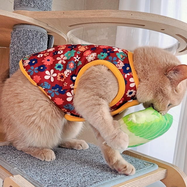 고양이옷 고양이 김장조끼 꽃무늬 양털조끼 빨강왕꽃 - 메인 이미지