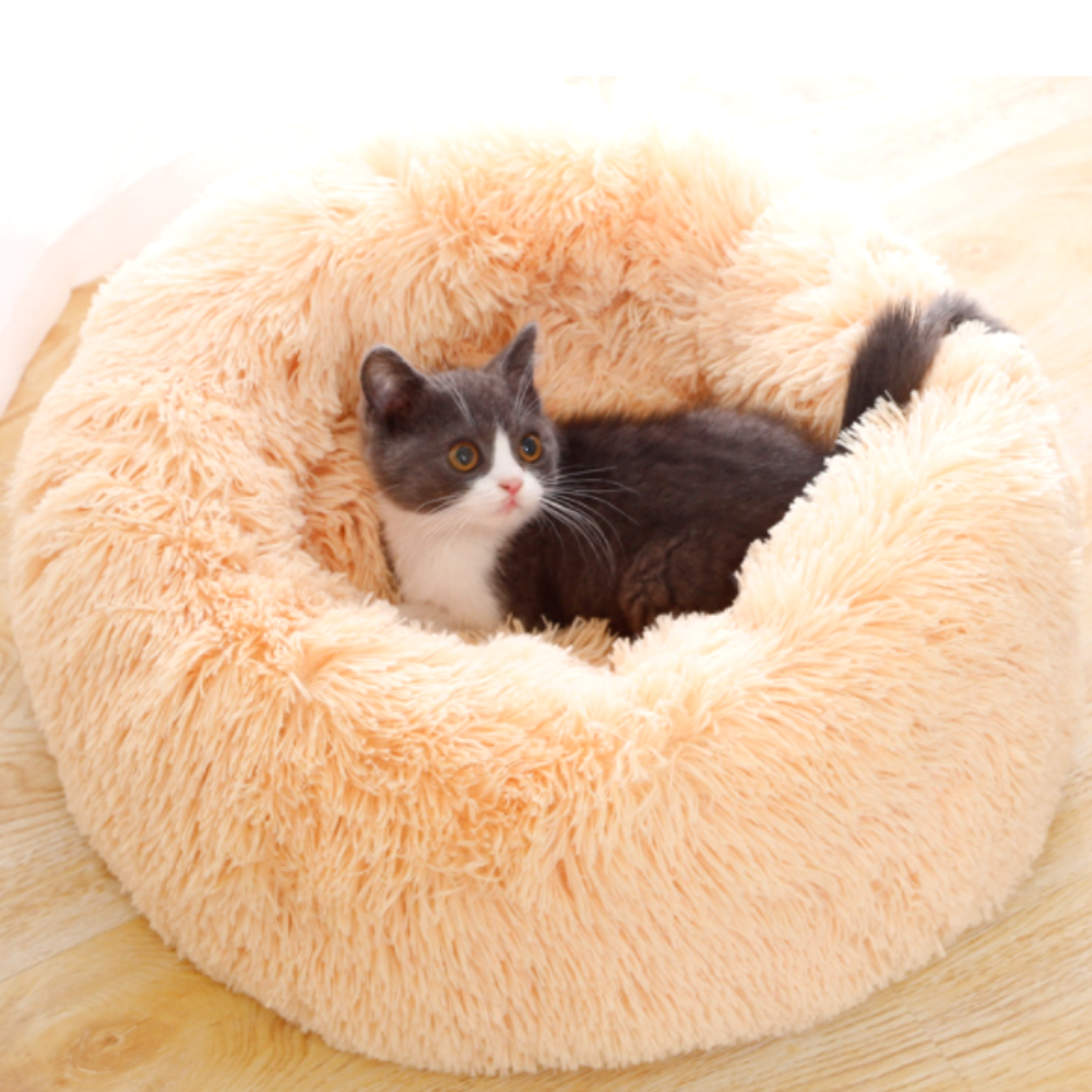 퍼플펫 고양이 침대 쇼파 강아지 침대 해먹 쿠션 S