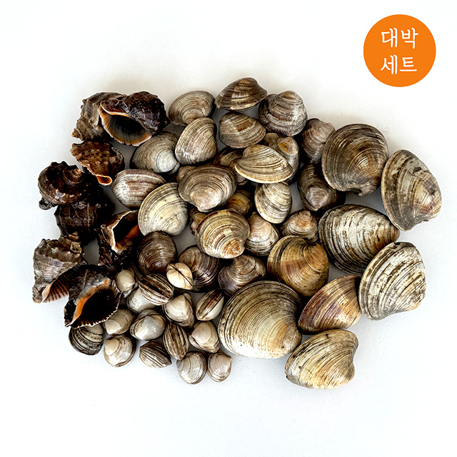 캠핑 모듬 조개구이 2kg 4kg 세트 조개탕 찜 키조개 이미지 2