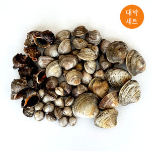 캠핑 모듬 조개구이 2kg 4kg 세트 조개탕 찜 키조개 맛있게 먹은 솔직 후기 - 상품 이미지 2