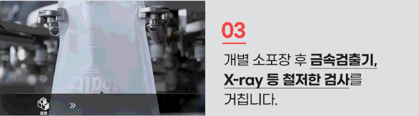 웰츠 캣 키튼 6kg 판매처 상세 정보 이미지 4