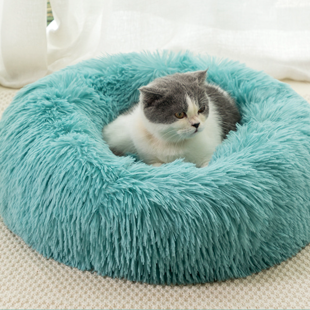 퍼플펫 고양이 침대 쇼파 강아지 침대 해먹 쿠션 S