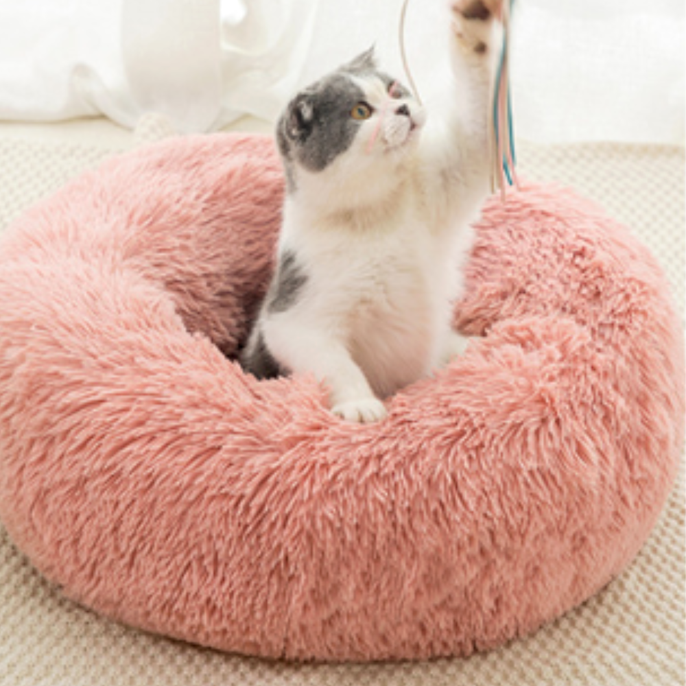 퍼플펫 고양이 침대 쇼파 강아지 침대 해먹 쿠션 S