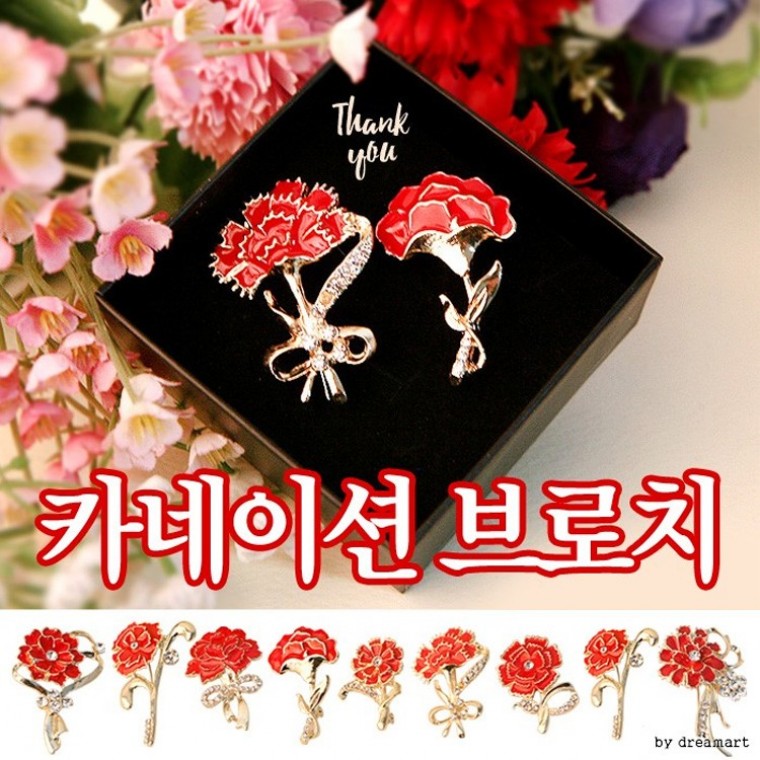 카네이션 브로치 모음전 최저가 / 어버이날 스승의날 부엉이 선생님 학교 병원 행사 선물 - 상품 이미지